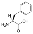 L-பினைல்அலனின் (Phe / F)