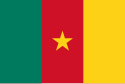 Vertical tricolor (green, red, yellow) with a five-pointed gold star in the center of the red.