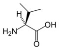 L-வாலின் (Val / V)