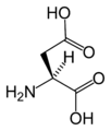 L-அஸ்பார்டிக் அமிலம் (Asp / D)