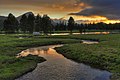 Tuolumne Meadows sur le Pacific Crest Trail