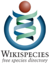 The current Wikispecies logo