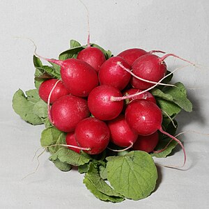 Radishes