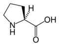 L-புரோலின் (Pro / P)