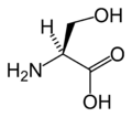 L-செரின் (Ser / S)