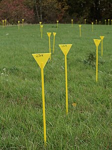 Markings on an explosive ordnance clearance site