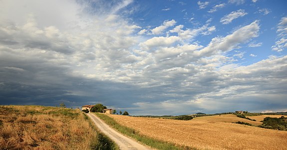 Tuscan Landscape