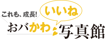 おバかわいいね写真館(望月やすこ講評)