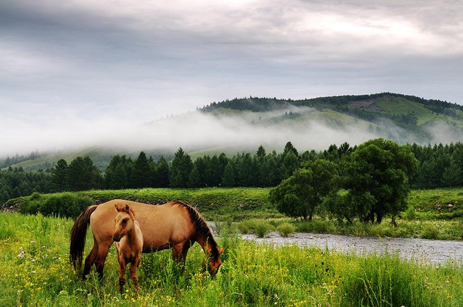 Check out the spectacular views along a 180-kilometer road in Chengde, North China\'s Hebei Province. Named \