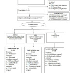 Figure 1: A schematic presentation of the participants’ recruitment into the study