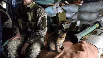 Katzen-Aufnahmen im Ukraine-Krieg: Falle für Russlands Truppen