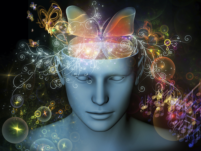 Butterfly brain44.jpg