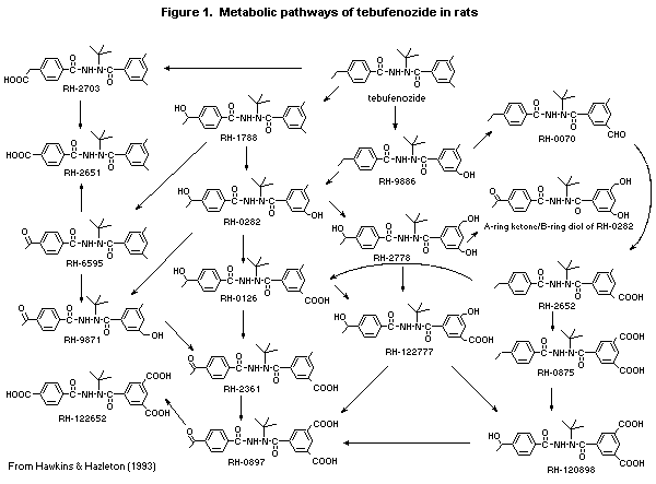 FIGURE 8