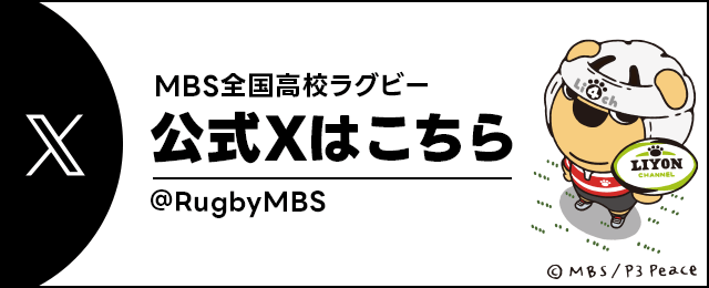 公式X