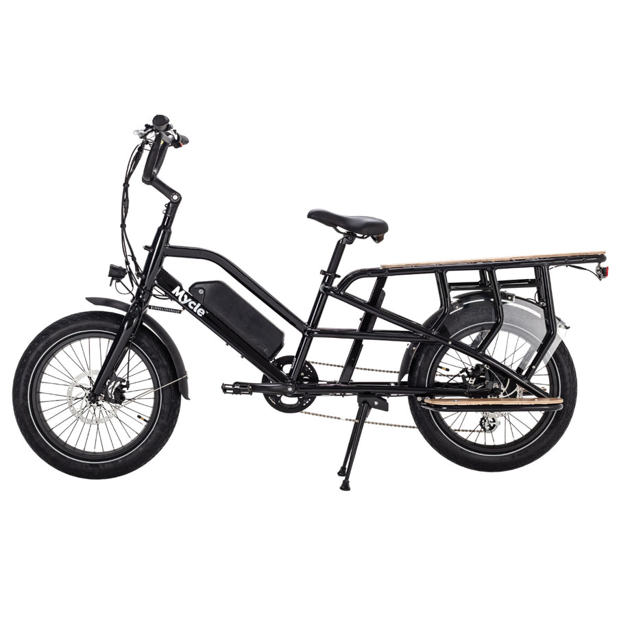 Cargo Electric Bike