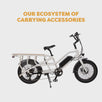 Cargo Electric Bike