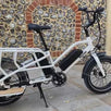 Cargo Electric Bike