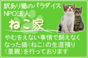 NPO法人「ねこ家」