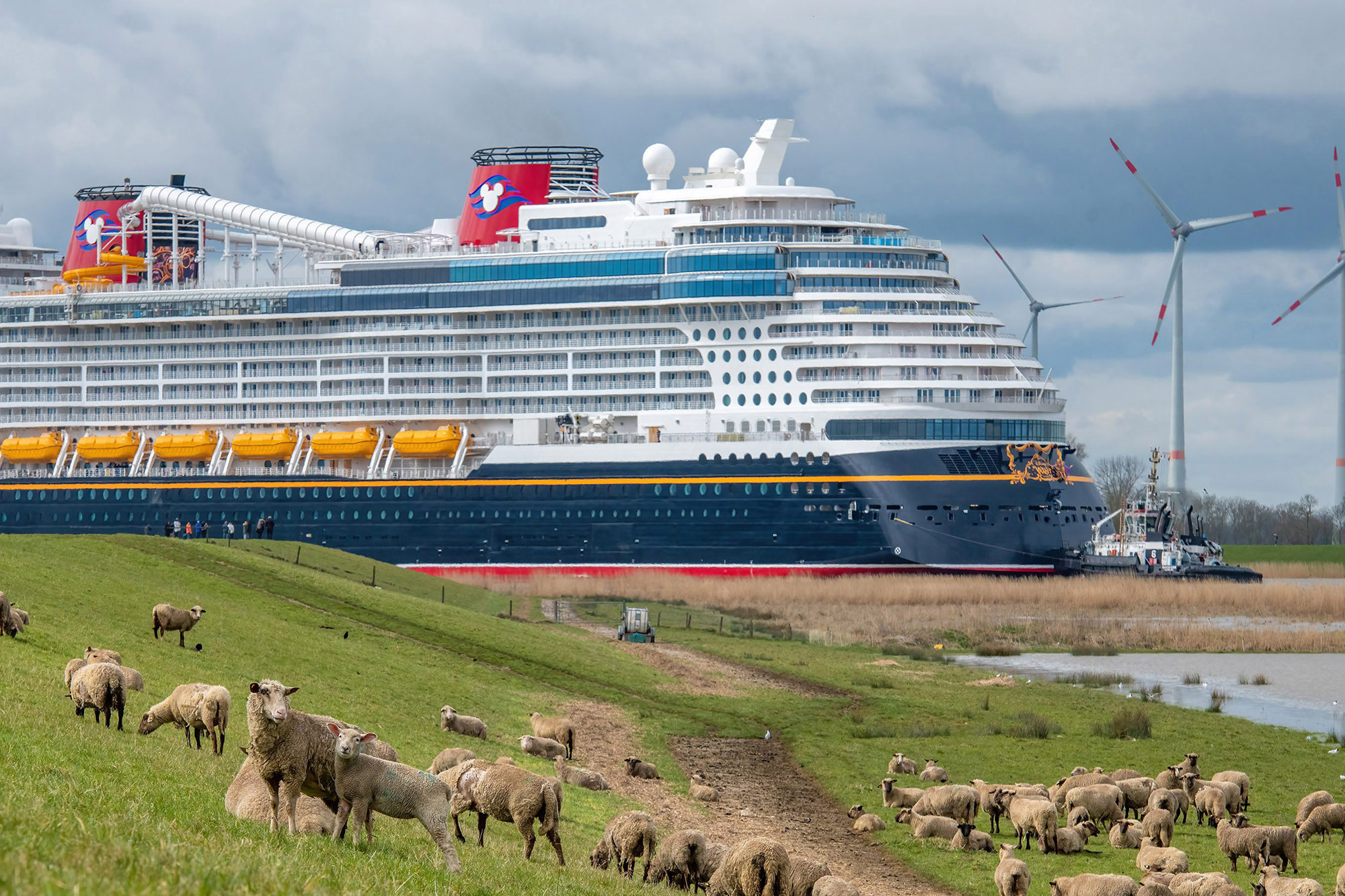Disney Cruise Line's new ship Disney Wish travels on the Ems River from the Meyer Werft shipyard on its way to sea trials in the North Sea on March 30, 2022. (Robert Fiebak/Disney Cruise Line/TNS)