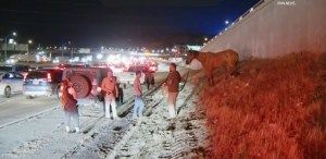 Caltrans and personnel from the City of Los Angeles assisted in the recovery of the living and dead horses.