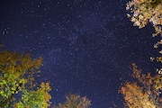 The stars are out on a clear fall night in the Mt. Hood Village Campground.