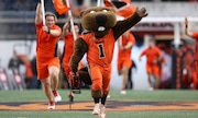 Oregon State mascot Benny Beaver runs on the field before an NCAA college football game against Utah on Sept. 29, 2023, in Corvallis. Oregon wildlife officials are working to recover beavers and their habitat. Here are some fun facts you should know about the critters.