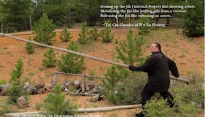 man holding long pole among small trees