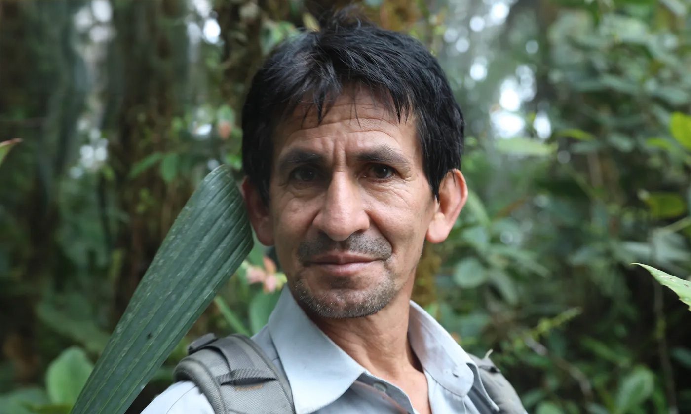 The rights of nature prevail again in this Ecuadorian forest