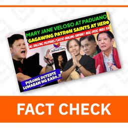 FACT CHECK: No national hero status for Mary Jane Veloso