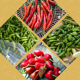 Feel the heat? A guide to chili peppers in the Philippines