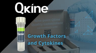 Qkineʼs Animal-Free Growth Factors and Cytokines are ideal for Stem Cell Culture