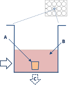 labelled explant model diagram-3