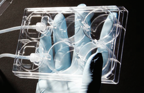 Alvetex® Perfusion Plate