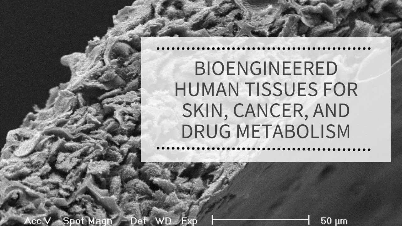 WEBINAR: Bioengineered Human Tissues for Skin, Cancer, and Drug Metabolism