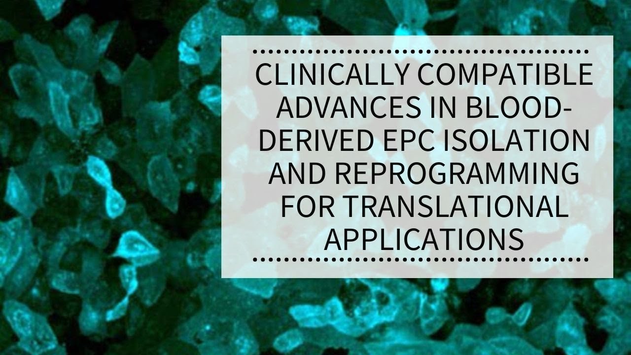 WEBINAR: Clinically compatible advances in blood-derived EPC isolation and reprogramming