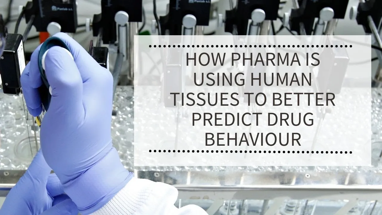 WEBINAR: How Pharma is using fresh human tissues to better predict drug safety and efficacy