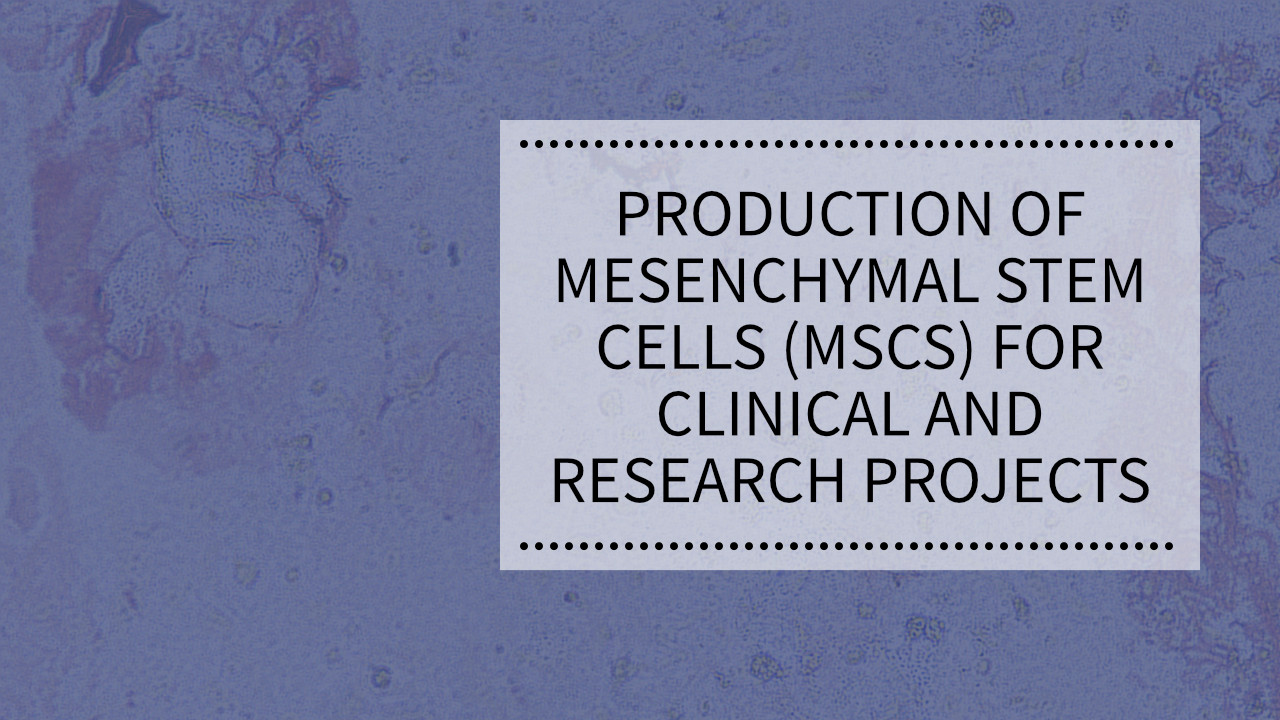 WEBINAR: Production of Mesenchymal Stem Cells (MSCs) for Clinical and Research Projects