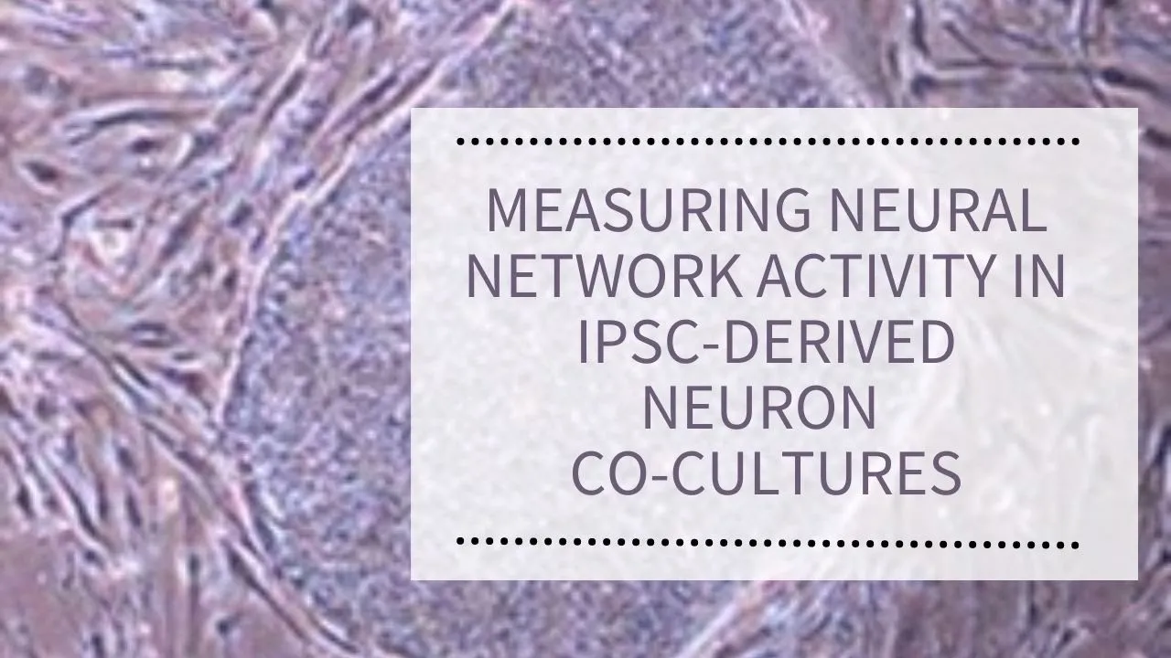 WEBINAR: Using neural network activity readouts in human iPSC-derived neuron/glia co-cultures for in vitro neurotoxicity assessment