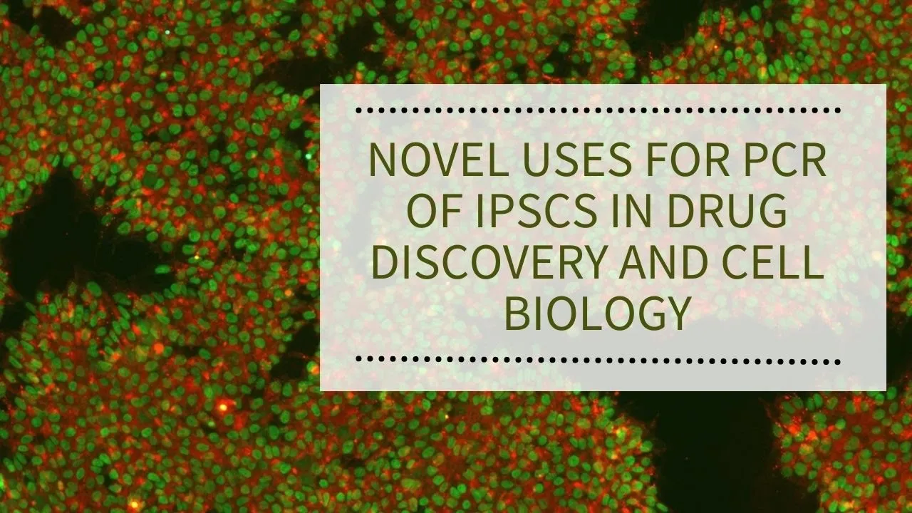 WEBINAR: Novel Uses for PCR of iPSCs in Drug Discovery and Cell Biology