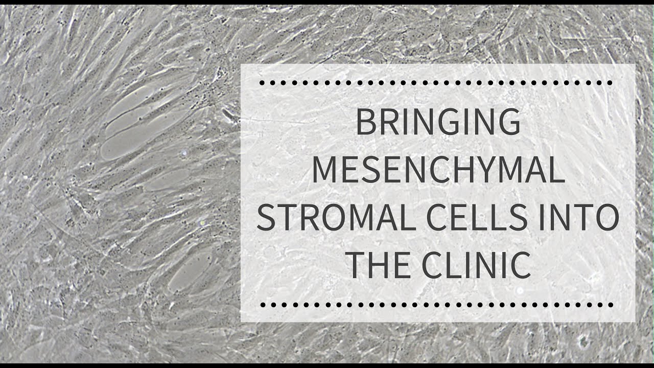 WEBINAR: Bringing Mesenchymal Stromal Cells into the Clinic