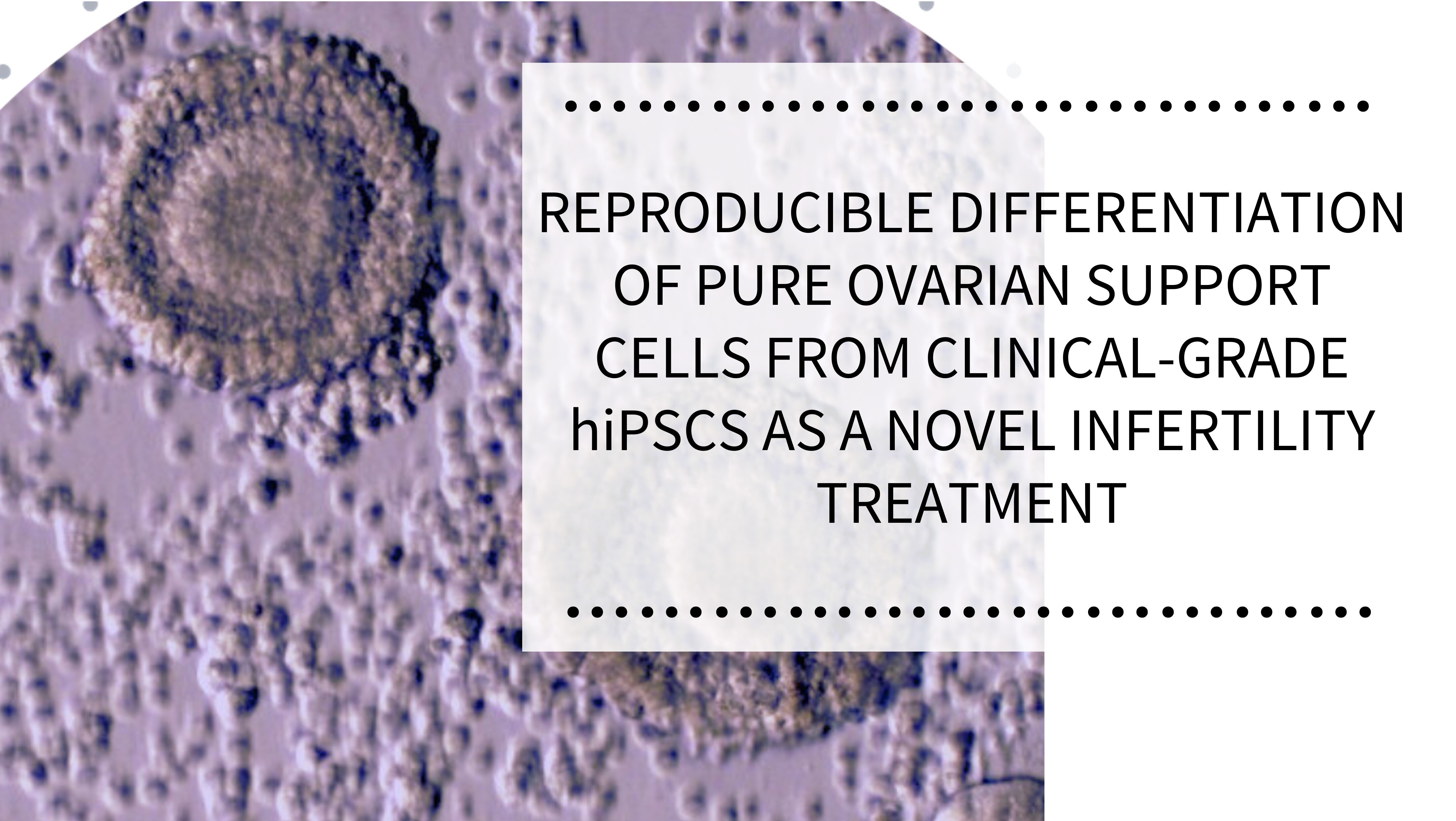 WEBINAR: Reproducible differentiation of pure ovarian support cells from clinical-grade hiPSCs as a novel infertility treatment