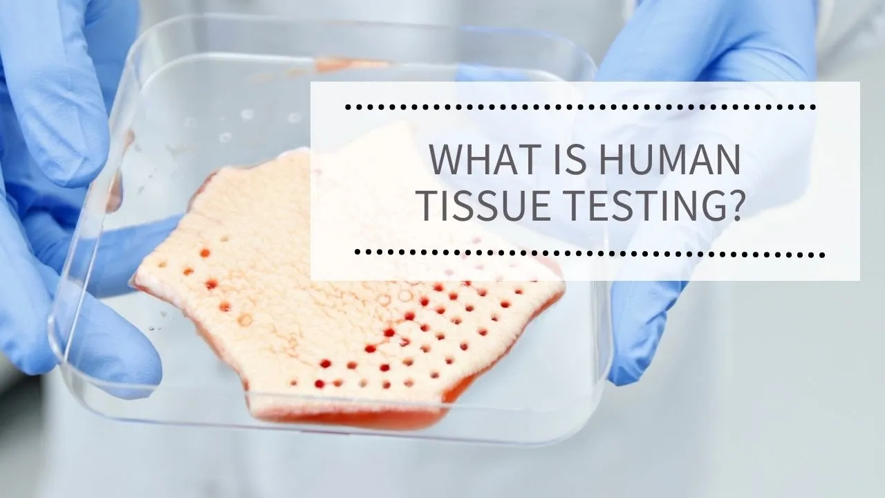 WEBINAR: What is human tissue testing?