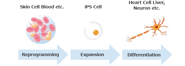 ir-competitive-edge-1