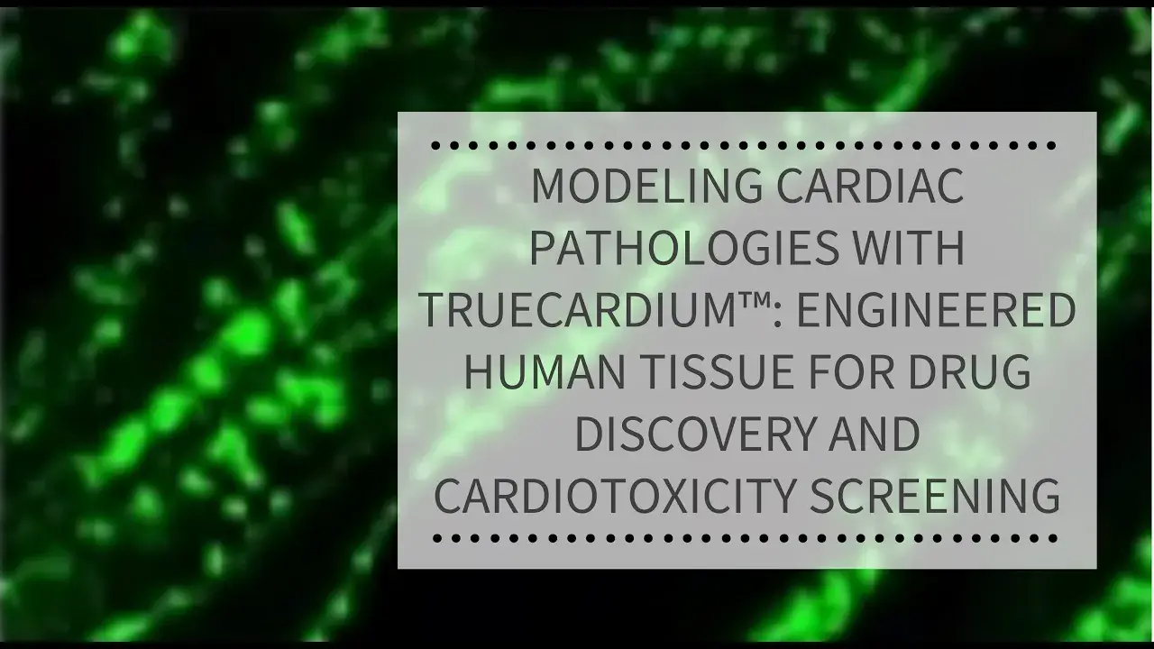 WEBINAR: Modeling cardiac pathologies with TrueCardium™: Engineered human tissue for drug discovery and cardiotoxicity screening