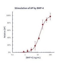 Stemfactor™ BMP-4, Human Recombinant