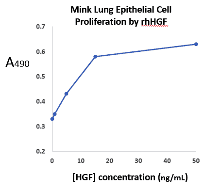 Stemfactor™ Hepatocyte Growth Factor, Human Recombinant