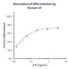 Stemfactor™ LIF, Human Recombinant