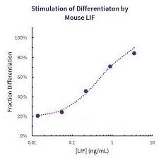 Stemfactor™ LIF, Mouse Recombinant