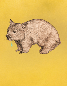 Wombat Drool