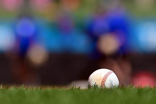A baseball rests in the grass.